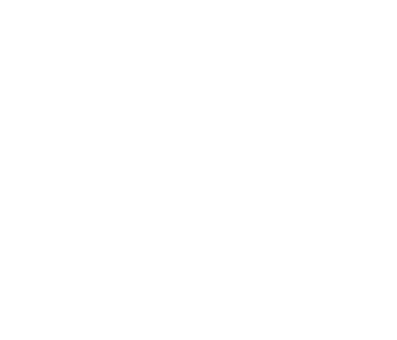 Colorado state outline graphic