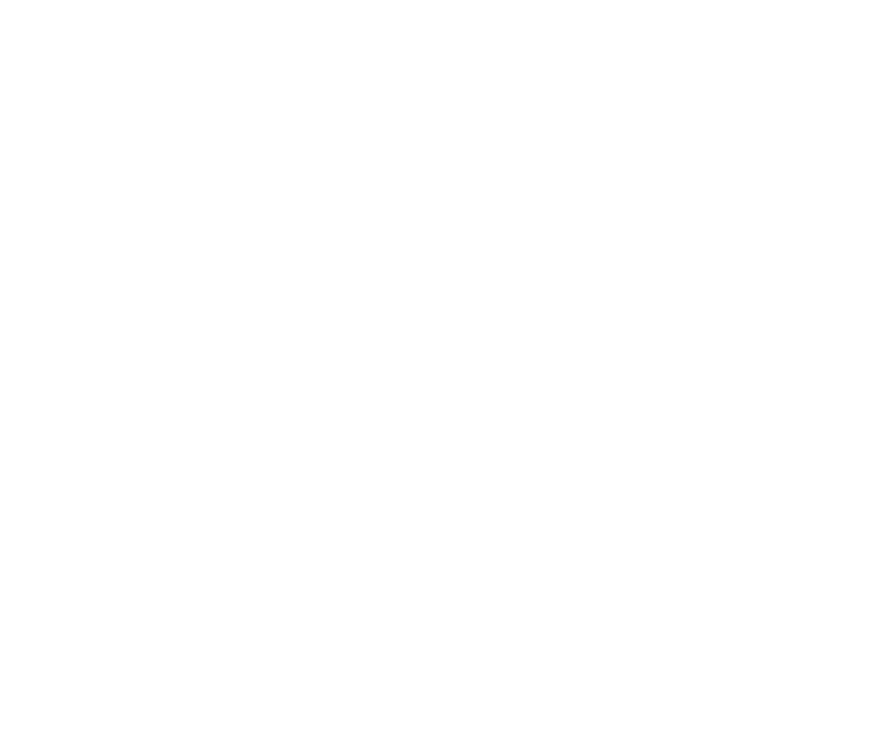 Illinois state outline graphic