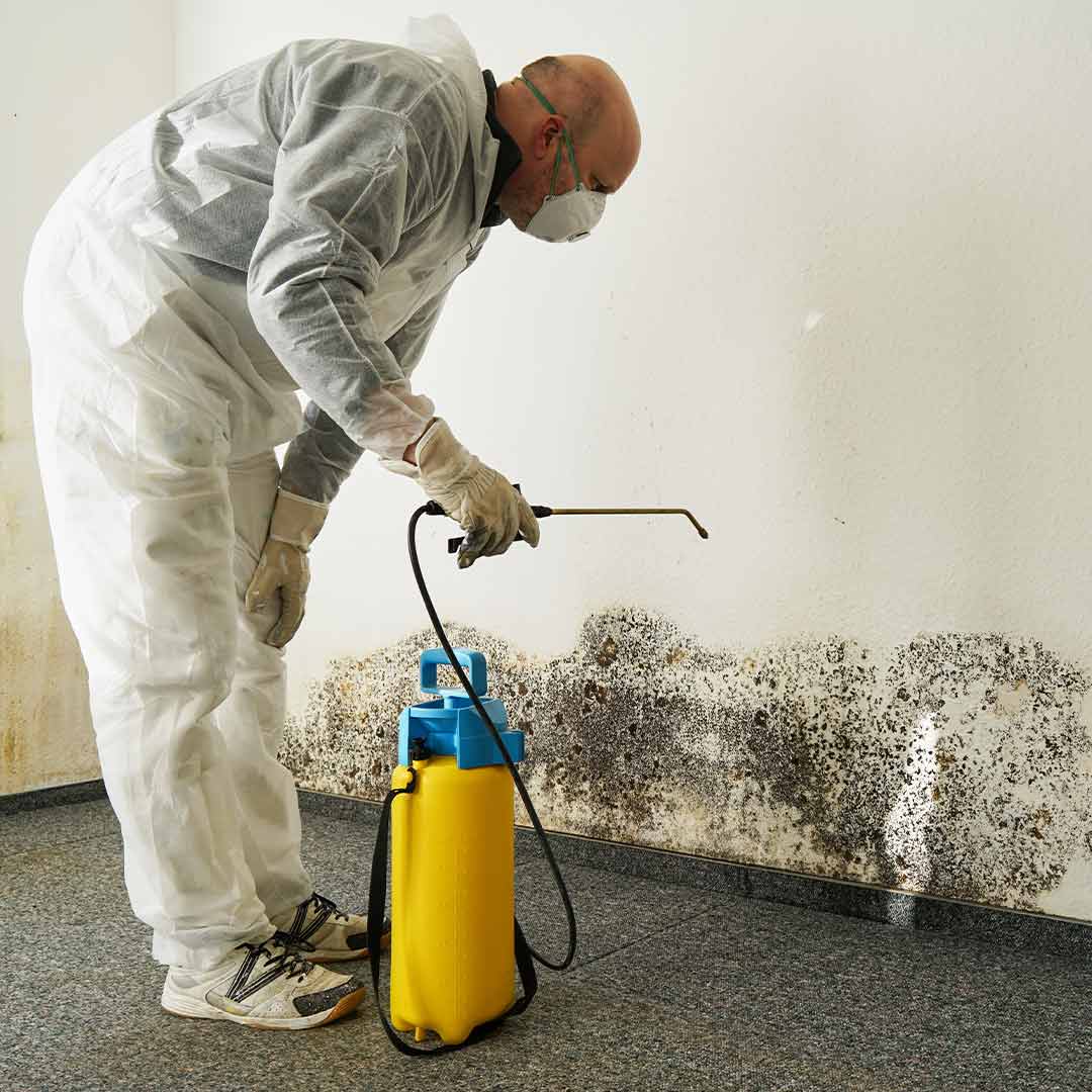 Worker spraying for mold remediation