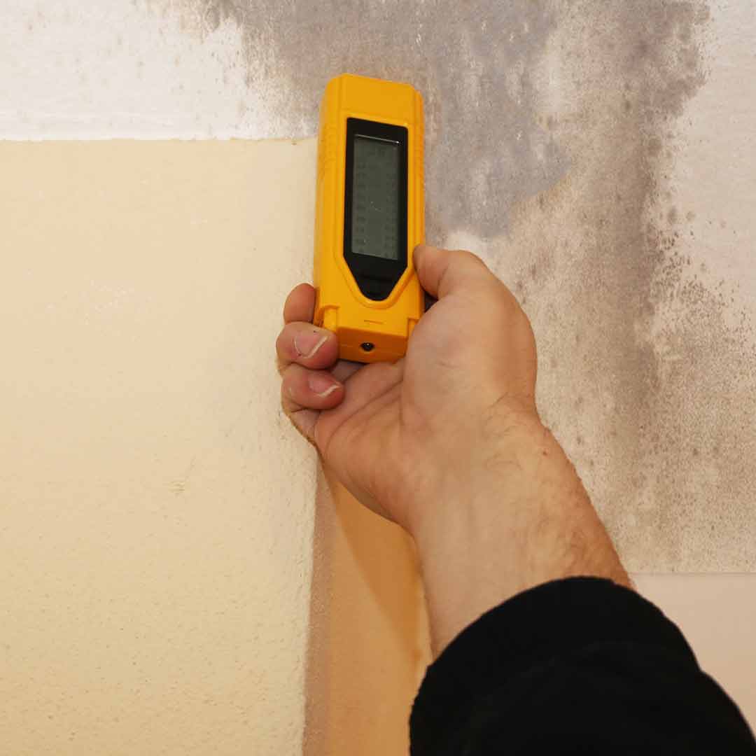 Moisture meter testing wall for water damage