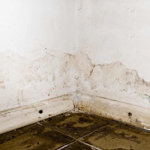 Flood damage and water intrusion causing wall staining and mold growth in corner